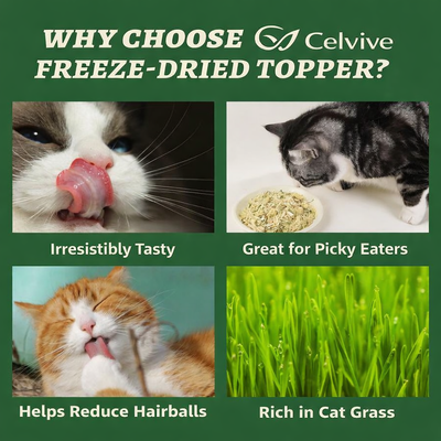 Celvive - Freeze-Dried Topper For Cats With Chicken, Egg Yolk, Cranberry, Pumpkin and Cat Grass