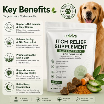 Celvive - Itch Relief Supplement For Dogs